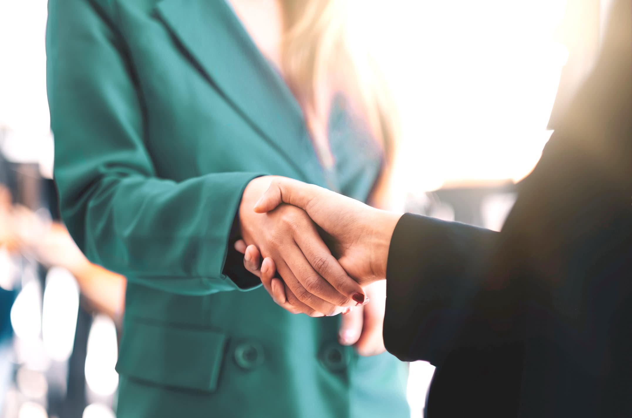 Zmuda adwokat kariera